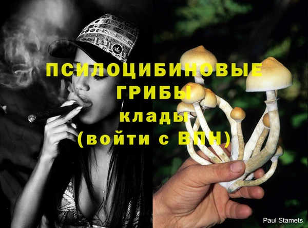 мдпв Нижневартовск