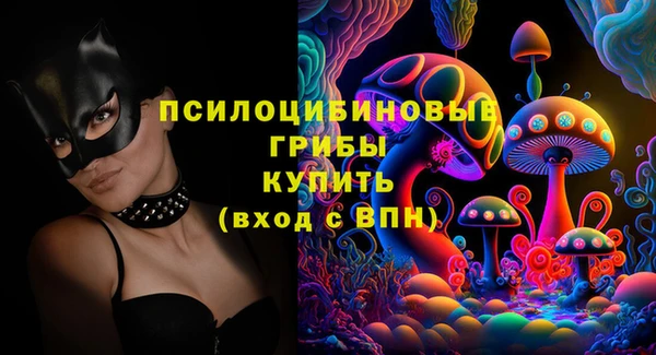метадон Ладушкин
