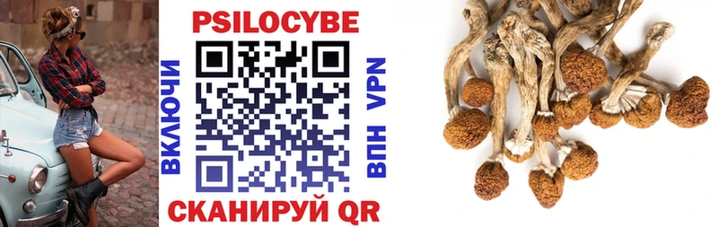 Псилоцибиновые грибы Psilocybe Дыгулыбгей